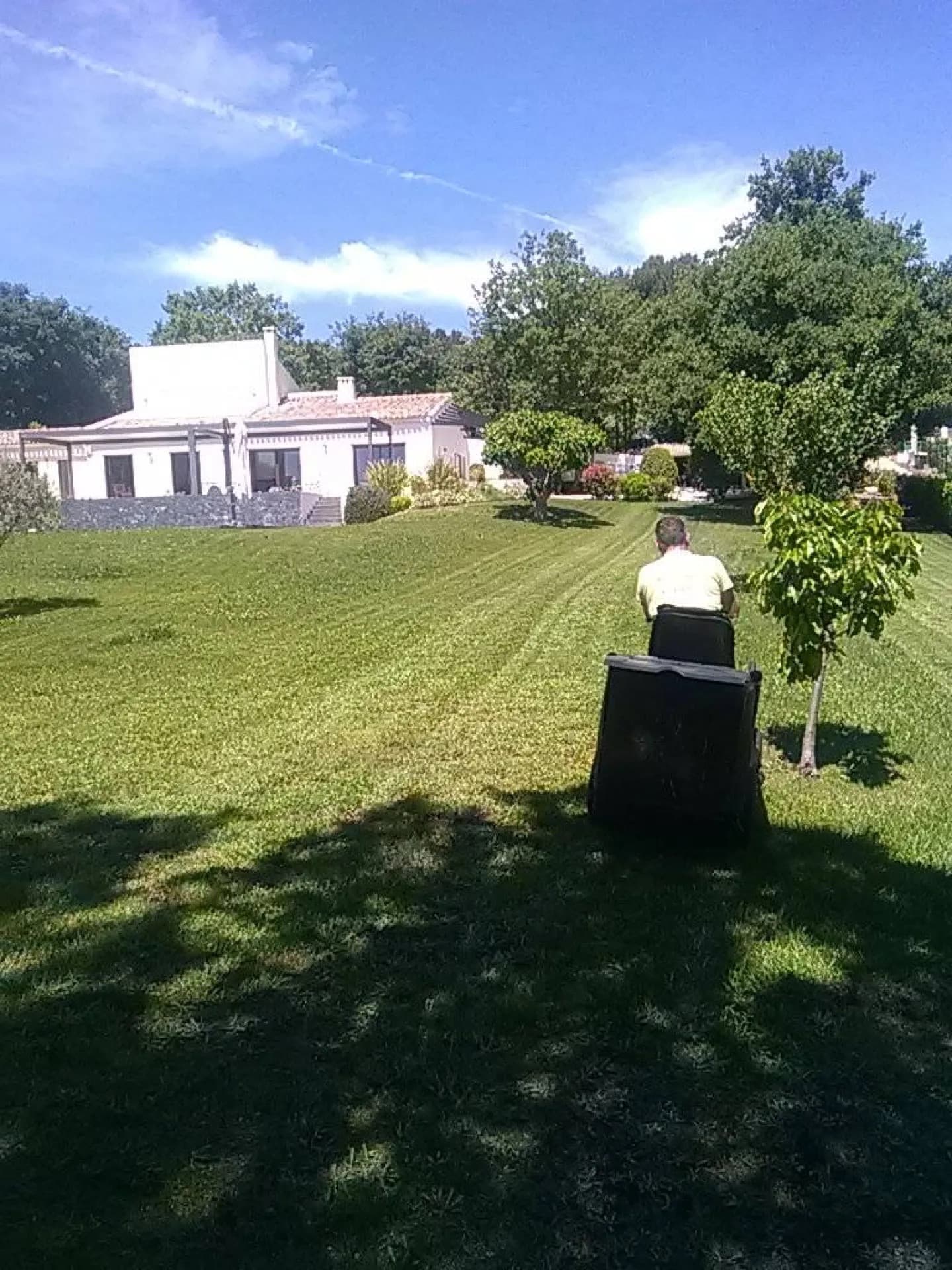 Jardinier AEP tondant la grande pelouse d’une villa, bac de ramassage plein